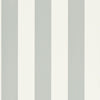 Spalding Stripe - White / Dove