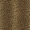 Aragon - Ocelot