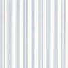 Palatine Stripe - Porcelain Blue