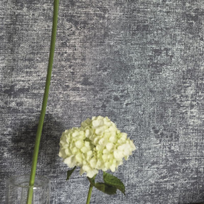 Designers Guild Cerato - Delft