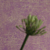 Designers Guild Cerato - Indigo