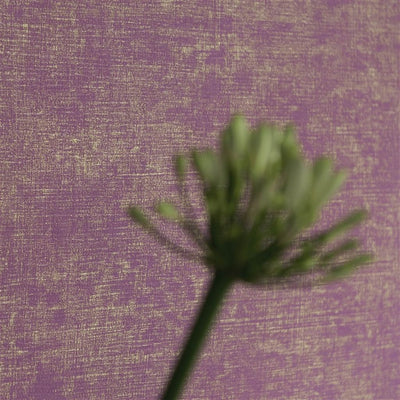 Designers Guild Cerato - Indigo