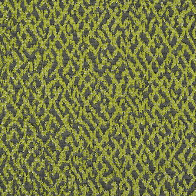 Versa - Moss