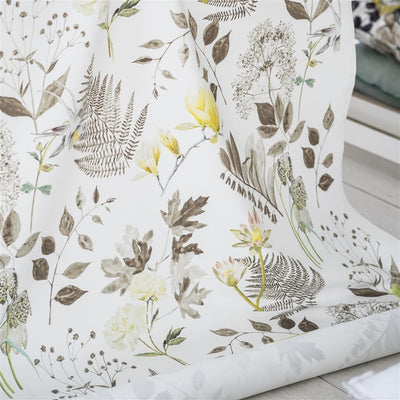 Designers Guild Mokuren Ii - Acacia