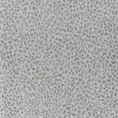 Ciottoli - Graphite