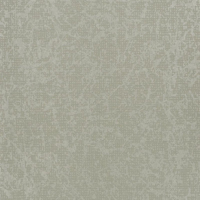 Boratti - Birch
