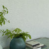 Designers Guild Ciottoli - Graphite