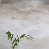 Designers Guild Cielo - Ecru