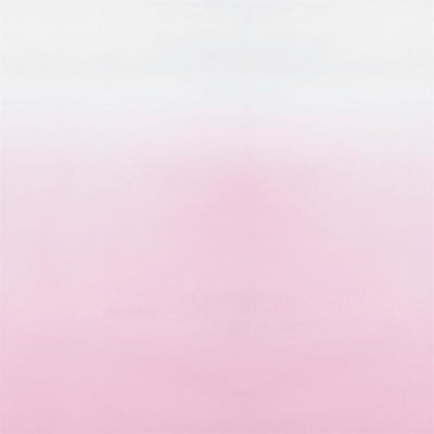 Saraille - Pale Rose