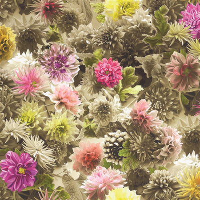Mariedal - Peony