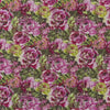 Forsyth - Magenta