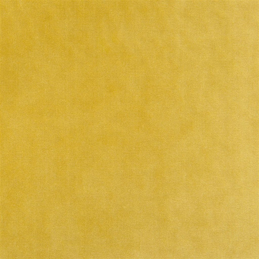 Varallo - Alchemilla