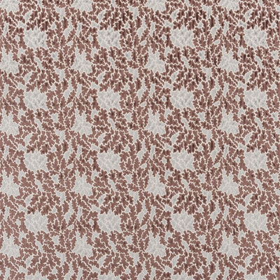 Luisa - Walnut