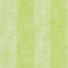 Parchment Stripe - Lime Tree