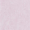 Parchment - Dianthus Pink
