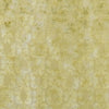 Iridato - Acacia