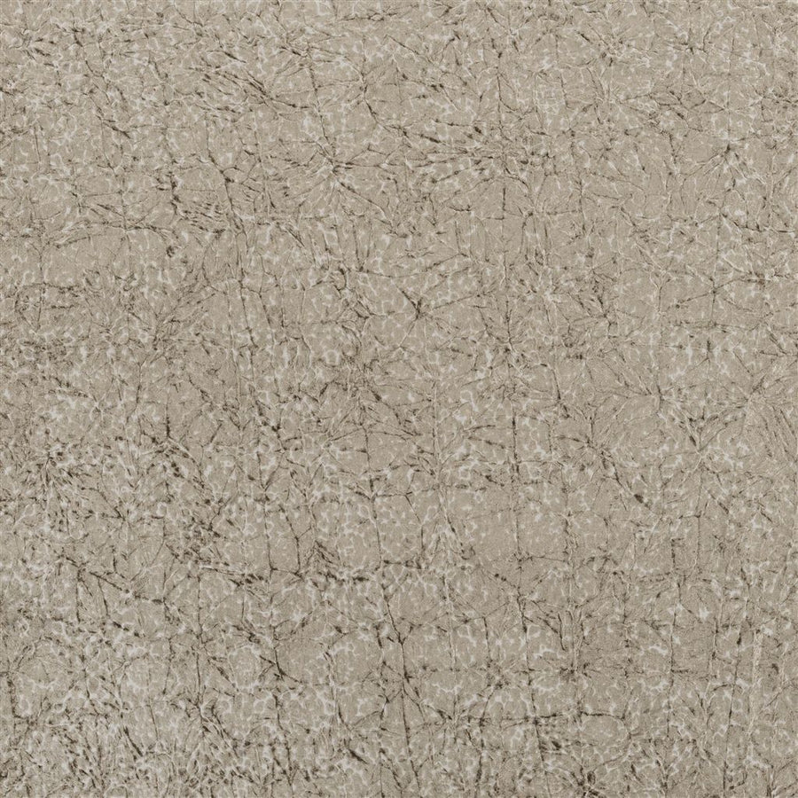 Cabochette - Moleskin