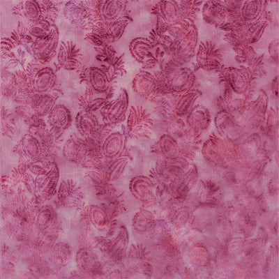 Zanfirico - Fuchsia