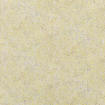 Lustro - Birch