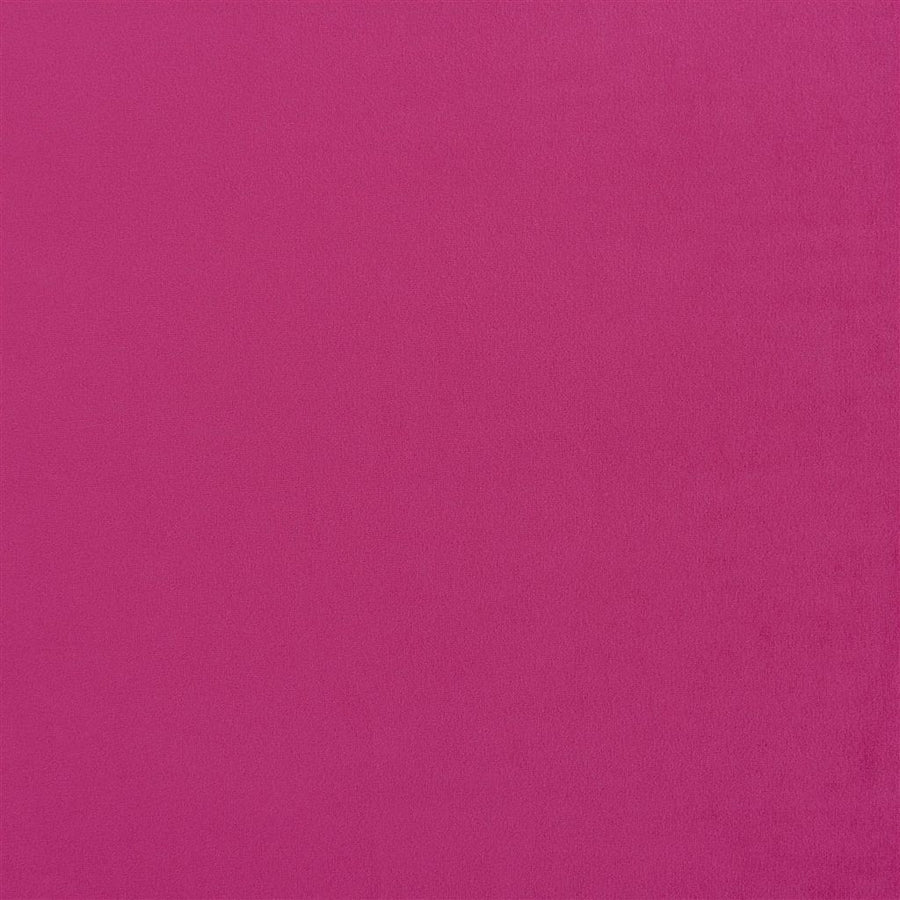 Trentino - Magenta