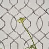 Designers Guild Rabeschi Black And White