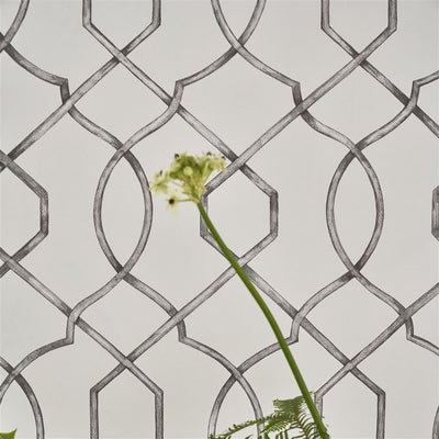 Designers Guild Rabeschi Black And White