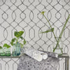 Designers Guild Rabeschi Black And White