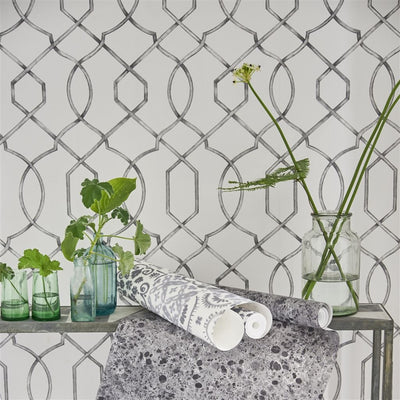 Designers Guild Rabeschi Black And White