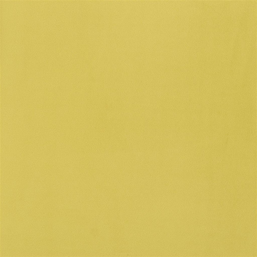 Trentino - Alchemilla