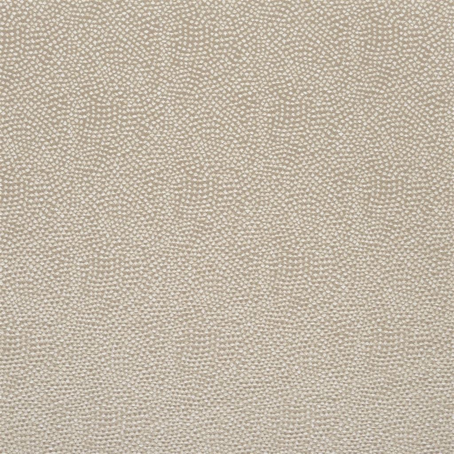 Sesia - Silver Birch