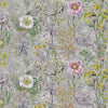 Fritillaria - Peony