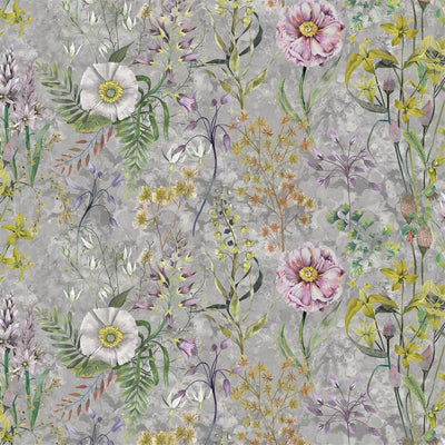 Fritillaria - Peony