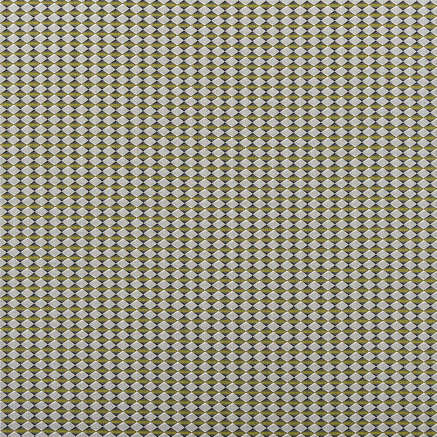 Berwick - Alchemilla