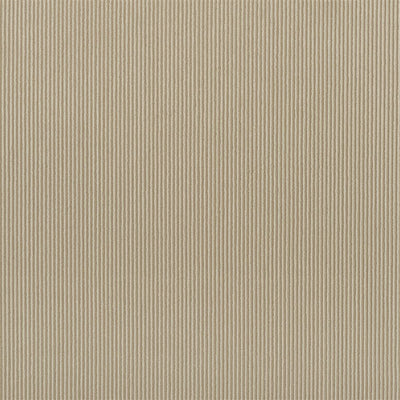 Tammaro - Pebble