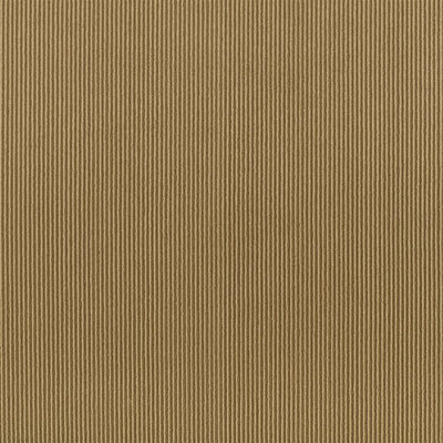 Tammaro - Acorn