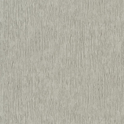 Sashiko Birch