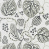 Astasia Charcoal