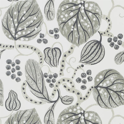 Astasia Charcoal