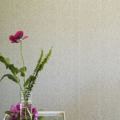 Designers Guild Boro Chalk