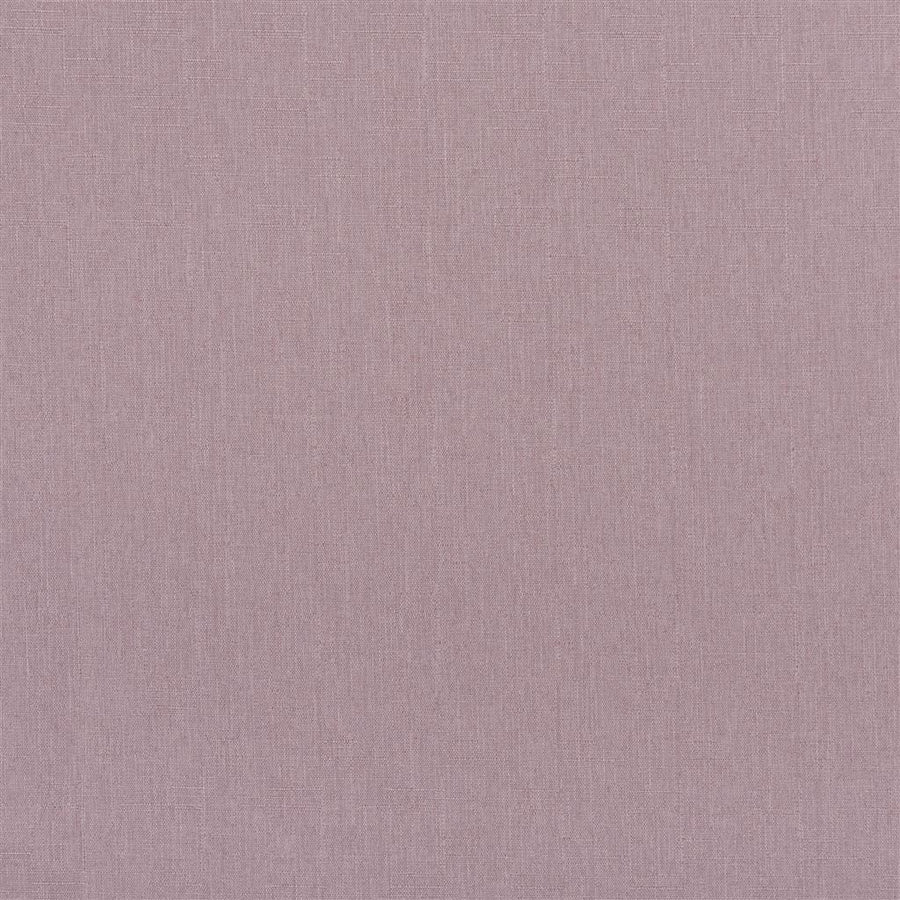 Spinelli Alta - Dewberry