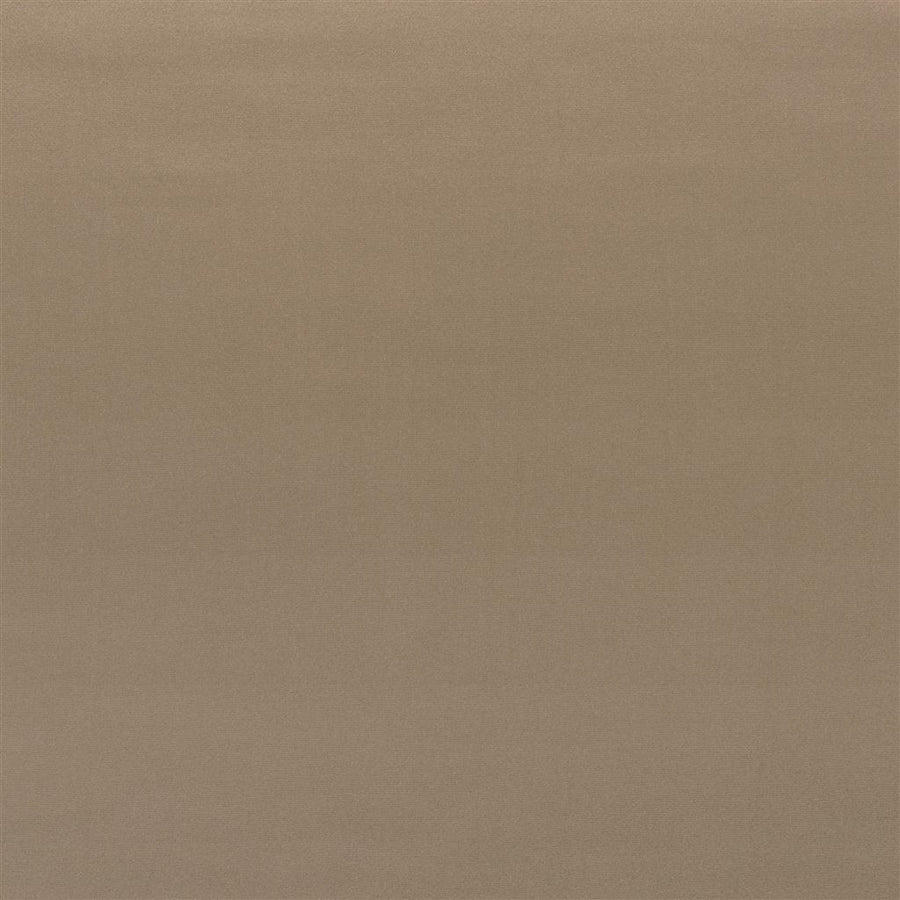 Tizzoro Alta - Moleskin