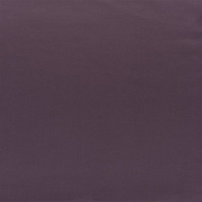 Tizzoro - Plum