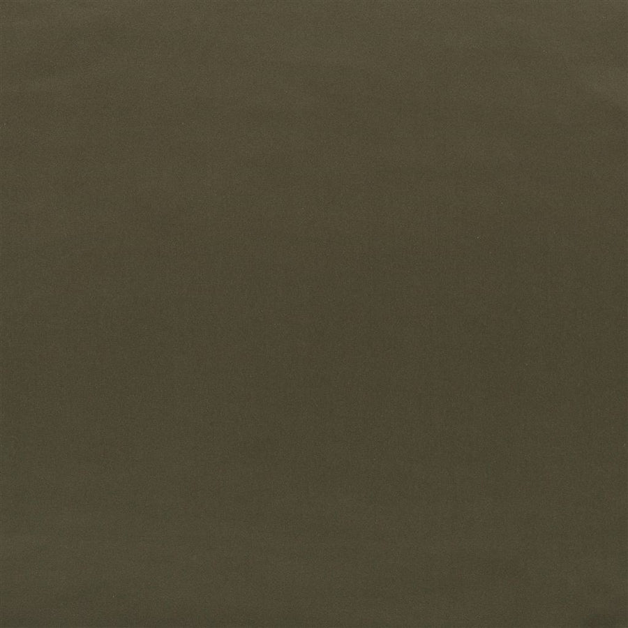 Tizzoro Alta - Olive