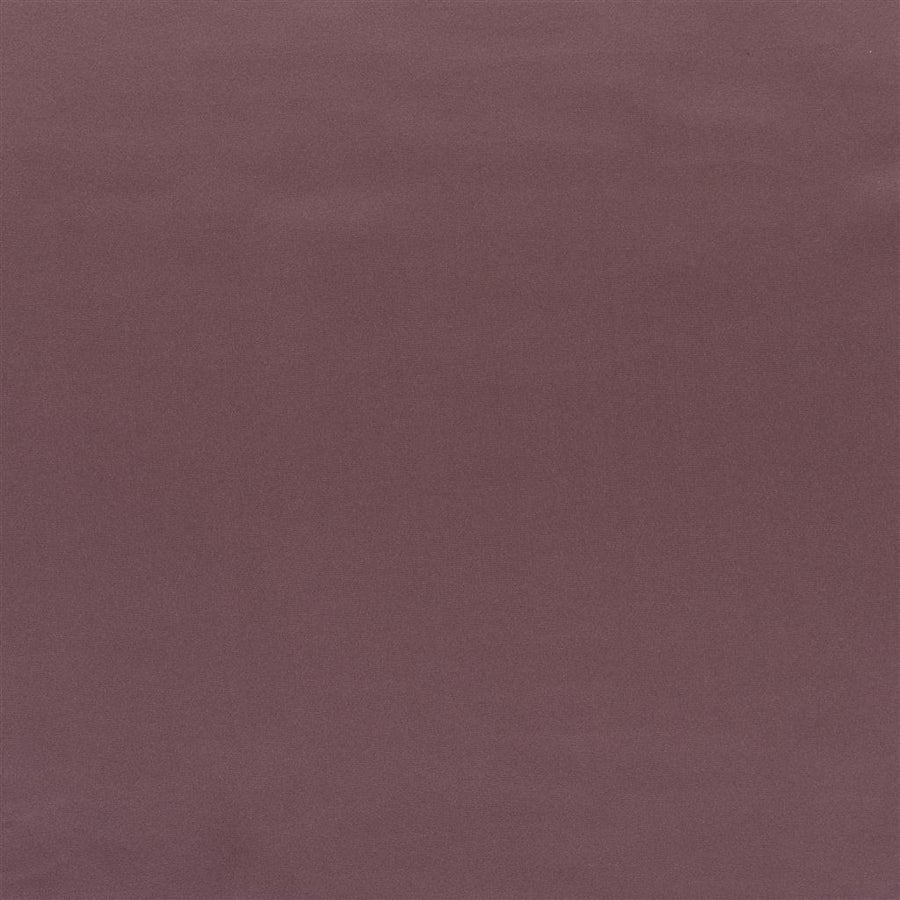 Tizzoro Alta - Dewberry