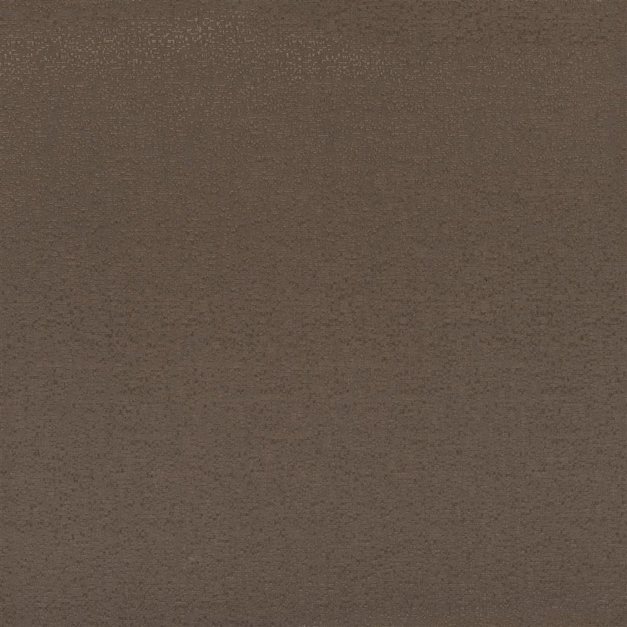 Marcello Alta - Beech