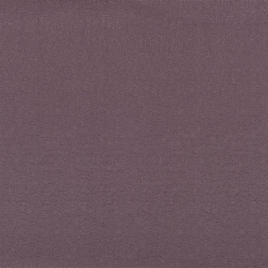 Marcello Alta - Dewberry