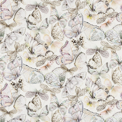 Papillons - Shell