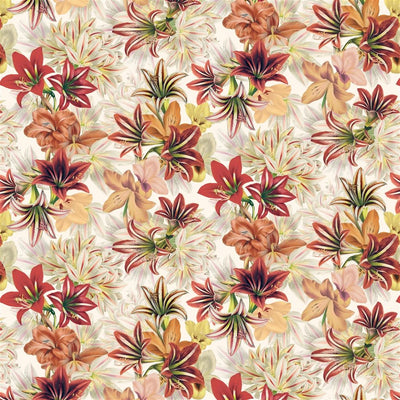 Amaryllis - Carmine
