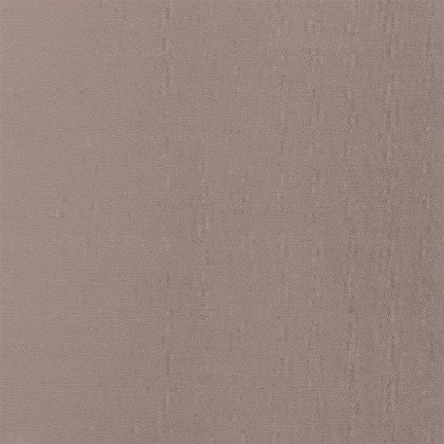 Trentino Stretto - Moleskin