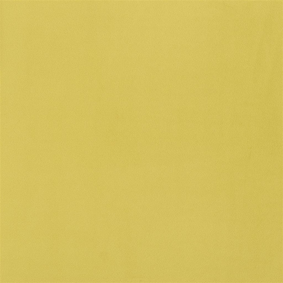 Trentino Stretto - Alchemilla